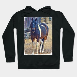 American Paint Horse Hoodie